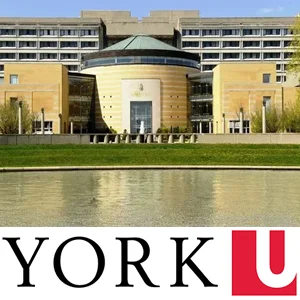 York University