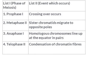 Meiosis Multiple Choice Questions for CBSE Class 11 Biology   Topperlearning