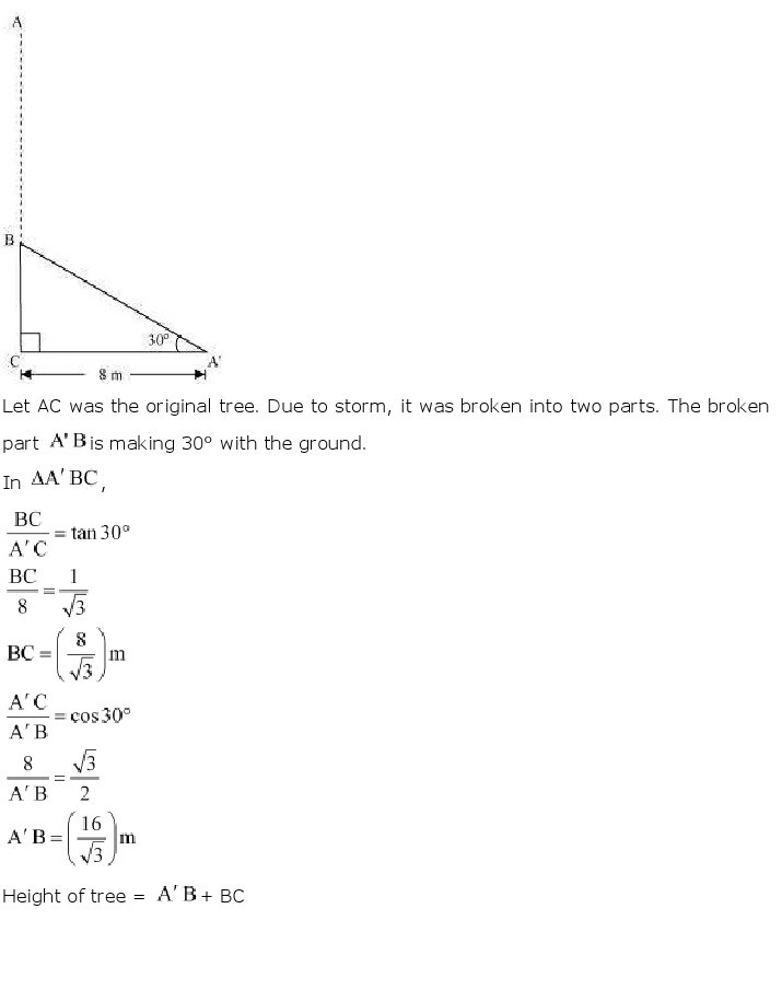 10th, Maths, Some Applications of Trigonometry 2