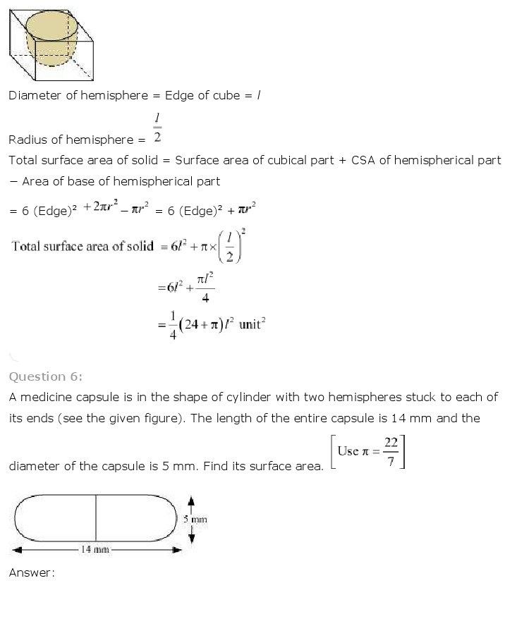 10th, Maths, Surface Areas & Volumes 5