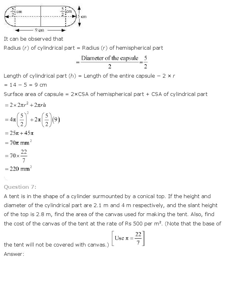 10th, Maths, Surface Areas & Volumes 6