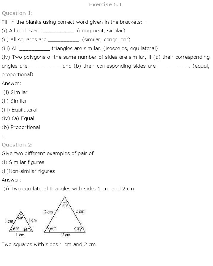 10th, Maths, Triangles 1