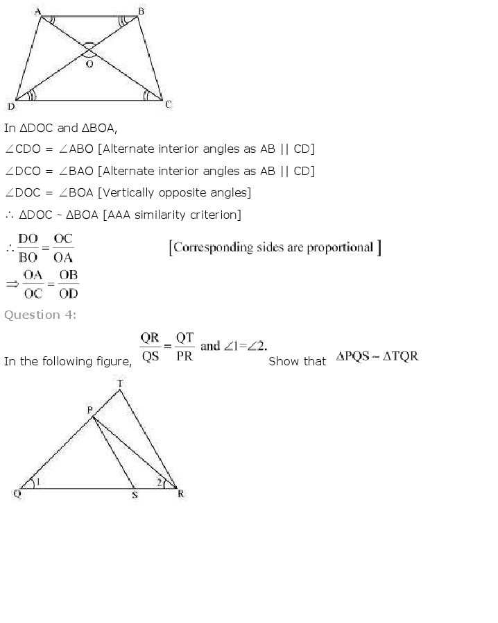 10th, Maths, Triangles 21