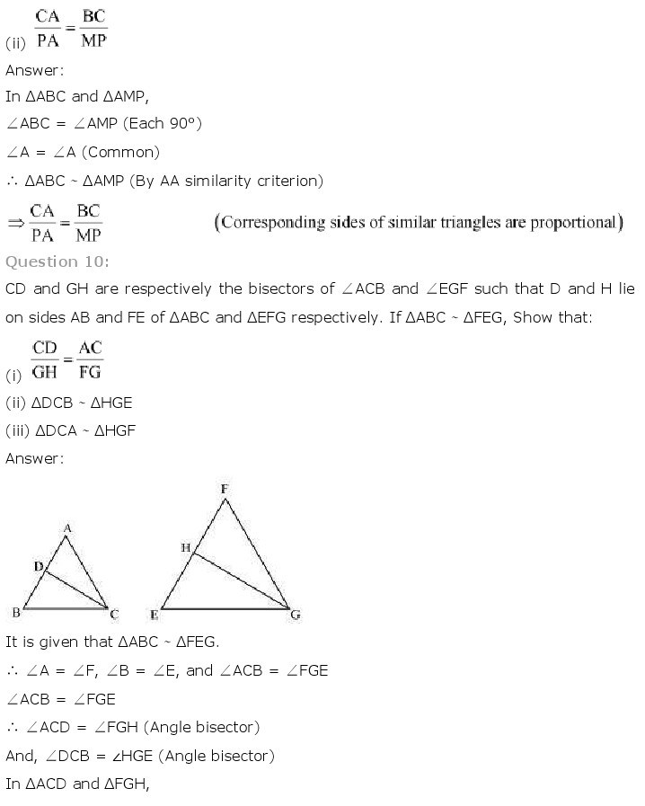 10th, Maths, Triangles 27