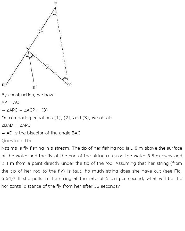 10th, Maths, Triangles 74