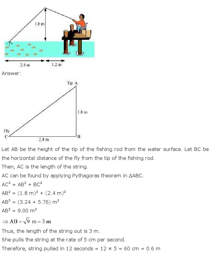 10th, Maths, Triangles 75