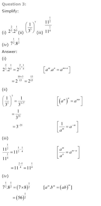 Number Systems NCERT Solutions 19