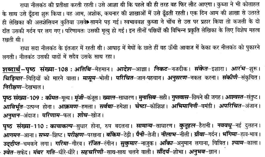 नीलकंठ Class 7 Hindi Chapter 15 Notes