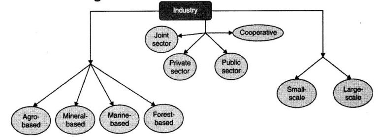 Notes Class 8 Geography Chapter 4 Industries