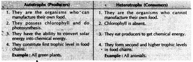 our-environment-cbse-notes-for-class-10-science-2