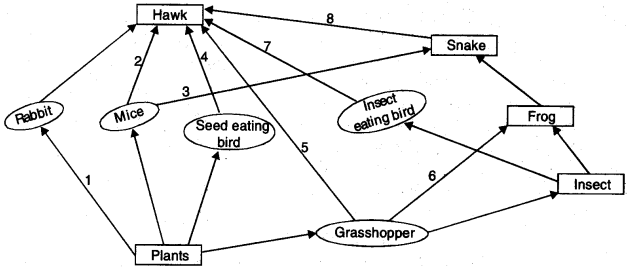 our-environment-cbse-notes-for-class-10-science-6