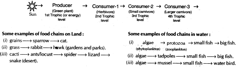 our-environment-cbse-notes-for-class-10-science-5