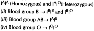 heredity-and-evolution-cbse-notes-for-class-10-science-1