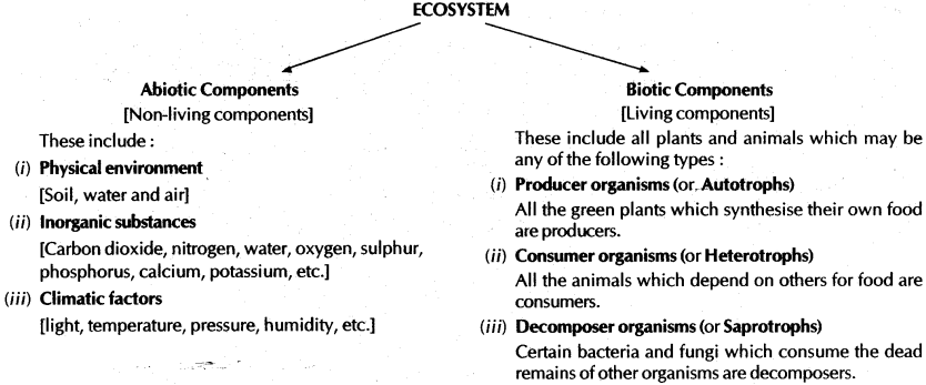 our-environment-cbse-notes-for-class-10-science-1
