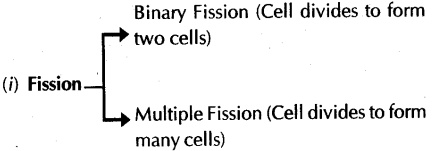 How do Organisms Reproduce - CBSE Notes for Class 10 Science