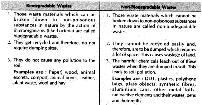 our-environment-cbse-notes-for-class-10-science-4