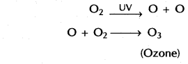 our-environment-cbse-notes-for-class-10-science-3