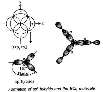 chemical-bonding-and-molecular-structure-cbse-notes-for-class-11-chemistry-31