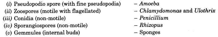 reproduction-in-organisms-cbse-notes-for-class-12-biology-4