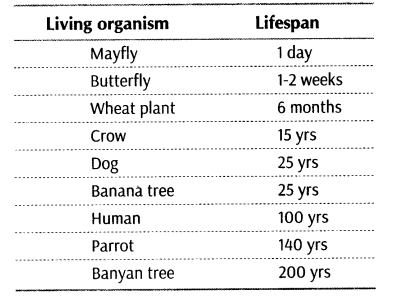 reproduction-in-organisms-cbse-notes-for-class-12-biology-1