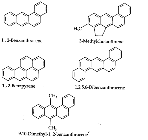 hydrocarbons-cbse-notes-for-class-11-chemistry-35