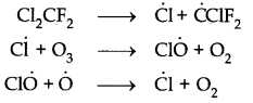 environmental-chemistry-cbse-notes-for-class-11-chemistry-8