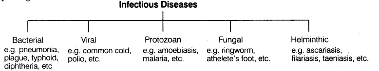 human-health-disease-cbse-notes-class-12-biology-1