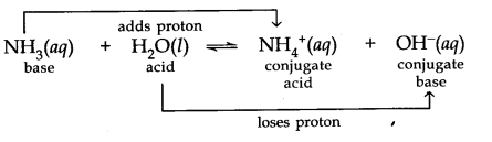 equilibrium-cbse-notes-for-class-11-chemistry-19