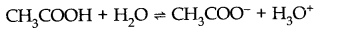 equilibrium-cbse-notes-for-class-11-chemistry-17