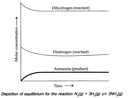 equilibrium-cbse-notes-for-class-11-chemistry-10