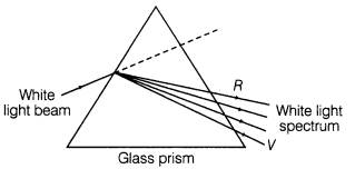 ray-optics-and-optical-instruments-cbse-notes-for-class-12-physics-21