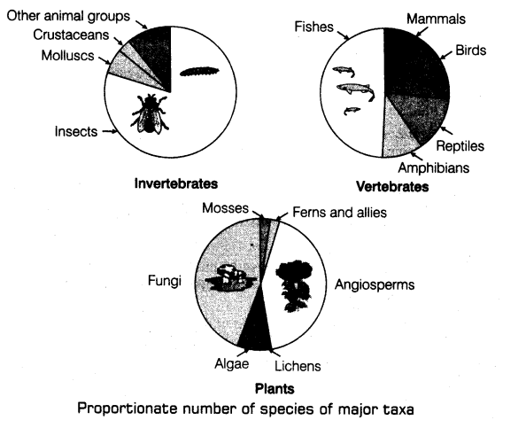 biodiversity-conservation-cbse-notes-class-12-biology-1