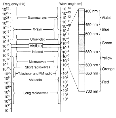 electromagnetic-waves-cbse-notes-for-class-12-physics-6