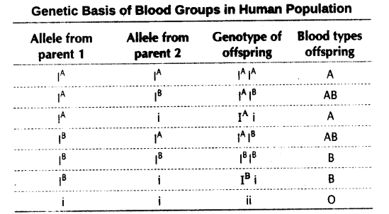 principles-of-inheritance-and-variation-cbse-notes-for-class-12-biology-5