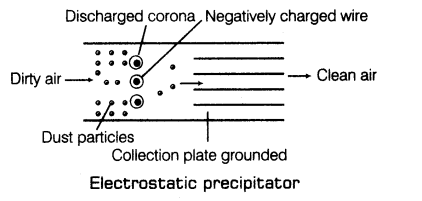 environmental-issues-cbse-notes-class-12-biology-2