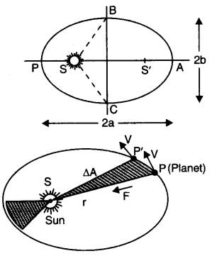 gravitation-cbse-notes-for-class-11-physics-1
