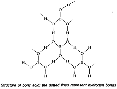 the-p-block-elements-cbse-notes-for-class-11-chemistry-3