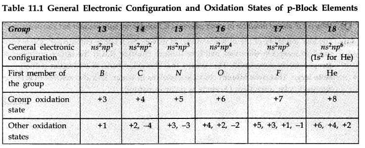 the-p-block-elements-cbse-notes-for-class-11-chemistry-1