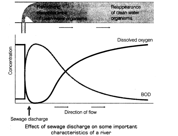 environmental-issues-cbse-notes-class-12-biology-5