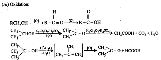 alcohols-phenols-and-ethers-cbse-notes-for-class-12-chemistry-3