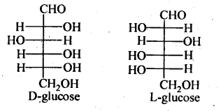 biomolecules-cbse-notes-for-class-12-chemistry-1