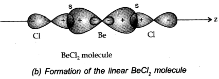chemical-bonding-and-molecular-structure-cbse-notes-for-class-11-chemistry-30