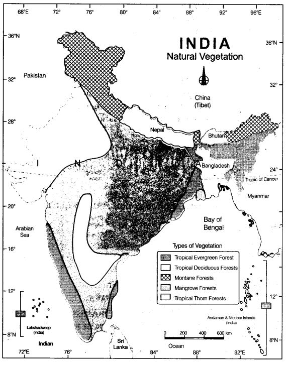 natural-vegetation-and-wild-life-cbse-notes-for-class-9-social-science-2