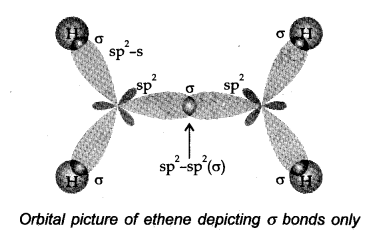 hydrocarbons-cbse-notes-for-class-11-chemistry-10