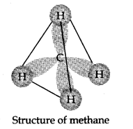 hydrocarbons-cbse-notes-for-class-11-chemistry-6