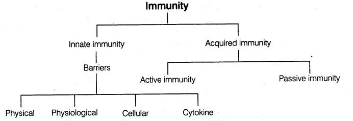 human-health-disease-cbse-notes-class-12-biology-3