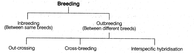 strategies-enhancement-food-production-cbse-notes-class-12-biology-1