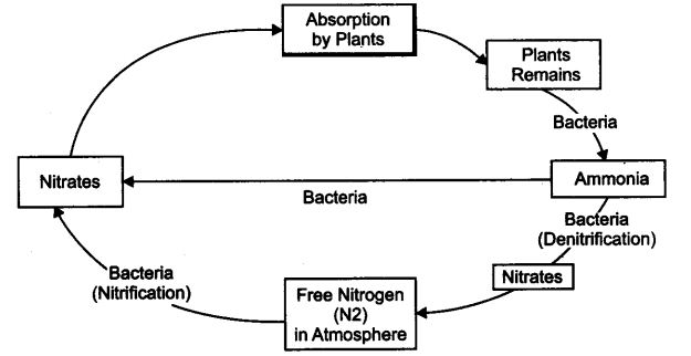 natural-resources-cbse-notes-class-9-science-2