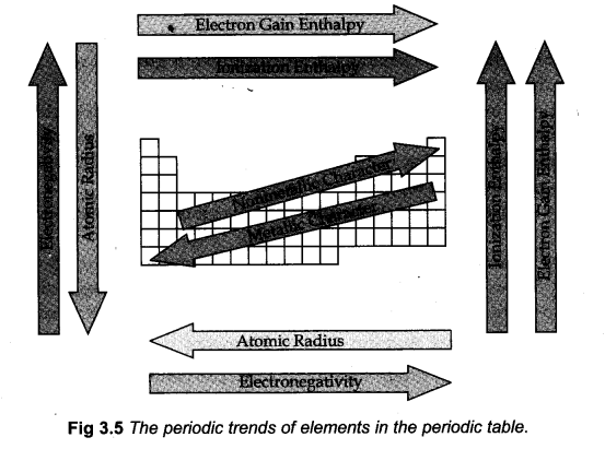 classification-of-elements-and-periodicity-in-properties-cbse-notes-for-class-11-chemistry-13