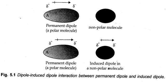 states-of-matter-cbse-notes-for-class-11-chemistry-1